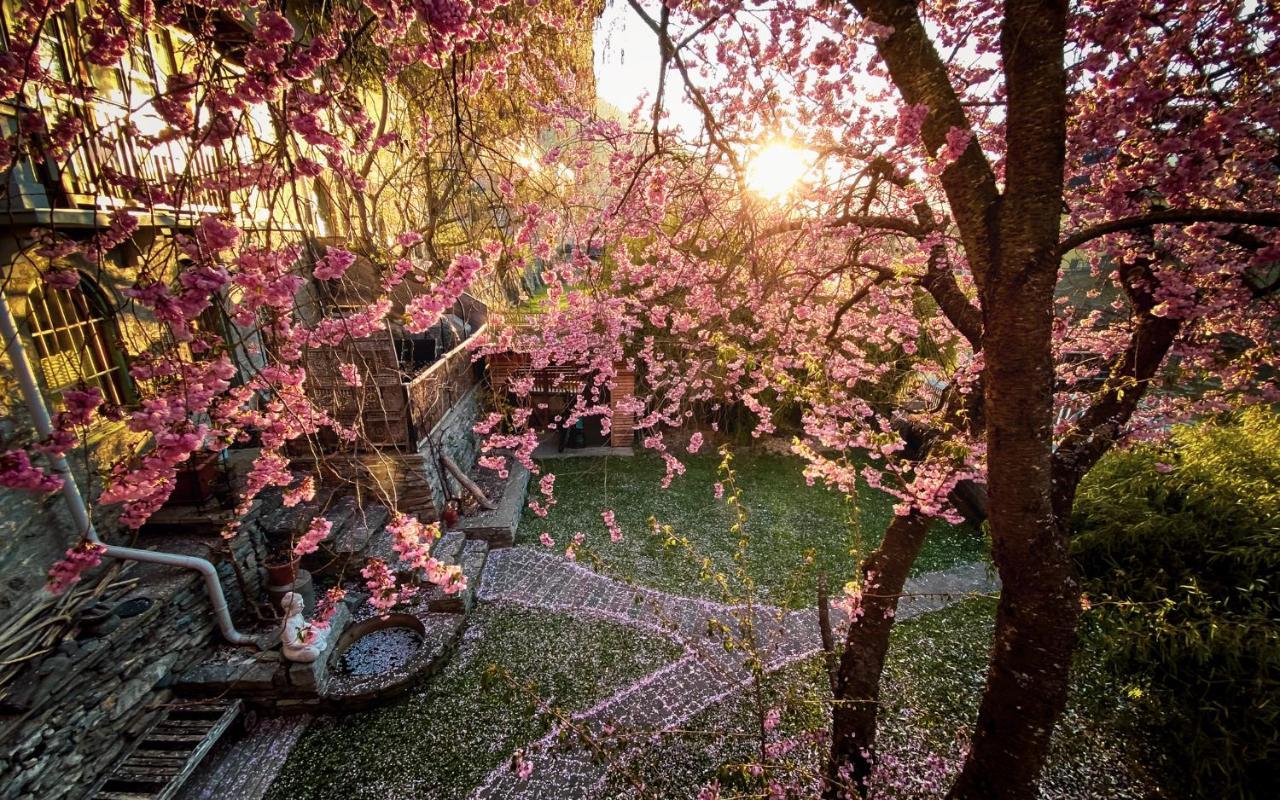 Gartenloft An Der Mur Мурау Екстериор снимка