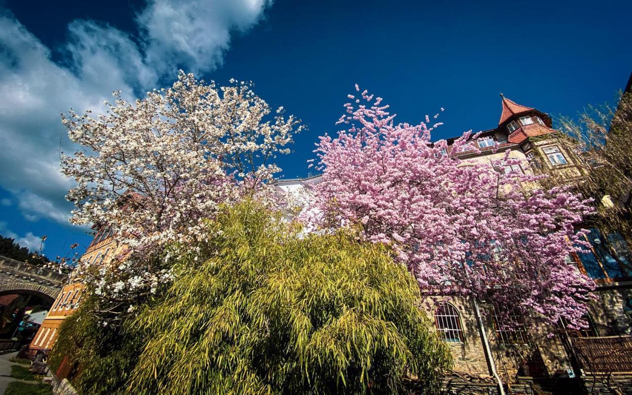 Gartenloft An Der Mur Мурау Екстериор снимка